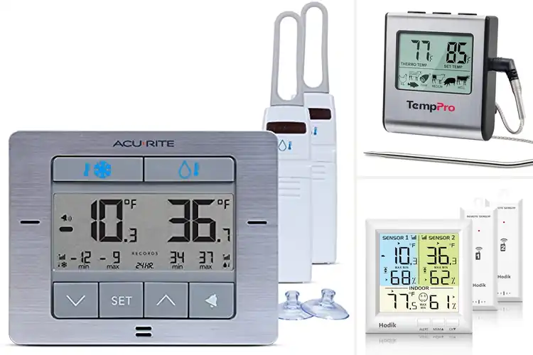 Detailed view of Best Alarm Thermometers