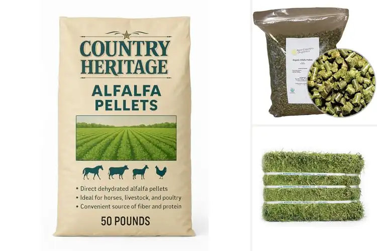 Detailed view of Best Alfalfa For Livestock Nutrition