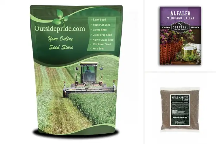 Detailed view of Best Alfalfa Seeds For Planting Forage Production