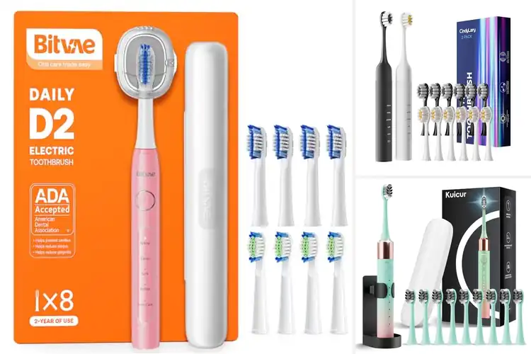 Detailed view of Best Battery Life Toothbrush: Top Long-Lasting Picks for You
