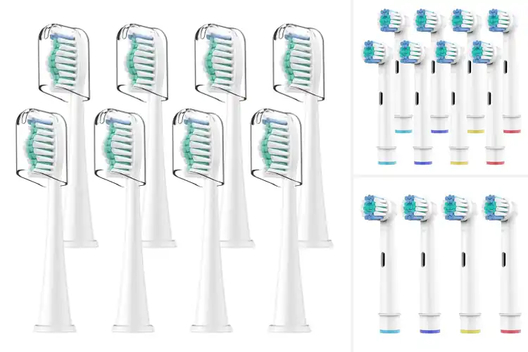 Detailed view of Best DuPont Brush Head Toothbrushes