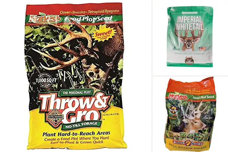 Detailed view of Best Food Plot Seeds