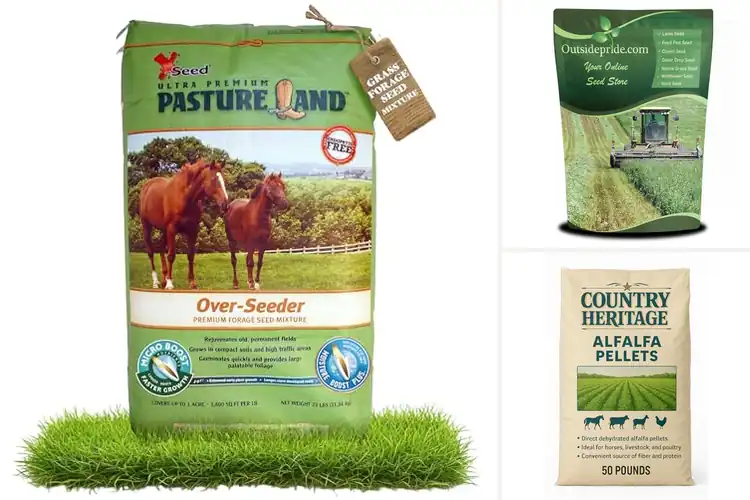 Detailed view of Best Forage Quality For Livestock