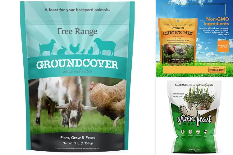 Detailed view of Best Forage Seeds