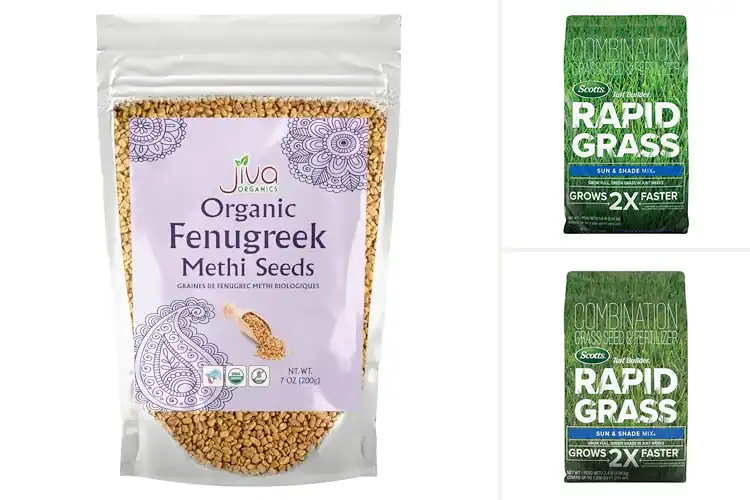 Detailed view of Best Growth Seeds