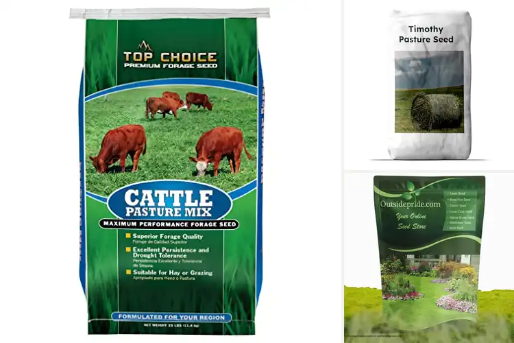 Detailed view of Best Hay Seeds For Cattle: Top 10 Picks for a Thriving Herd
