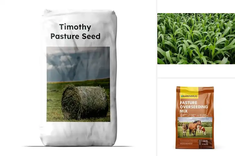 Detailed view of Best Hay Seeds For Livestock: Grow Lush, Nutritious Pastures