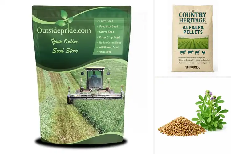 Detailed view of Best High Yield Alfalfa Forage