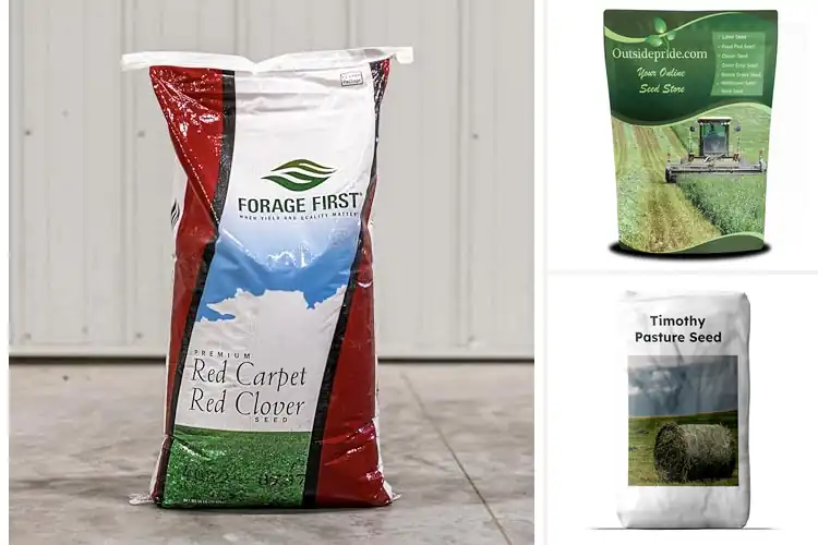Detailed view of Best High Yield Forage Seeds: Top 10 Picks for Lush Pastures
