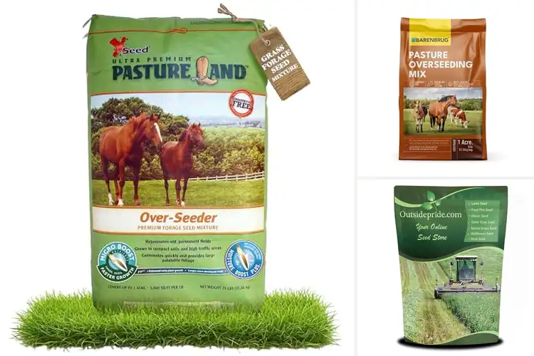 Detailed view of Best Livestock Forage