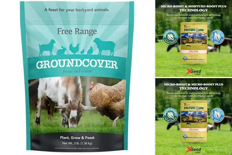 Detailed view of Best Livestock Forage Seeds