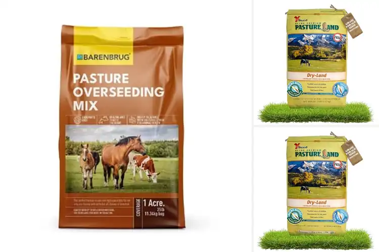 Detailed view of Best Livestock Forages