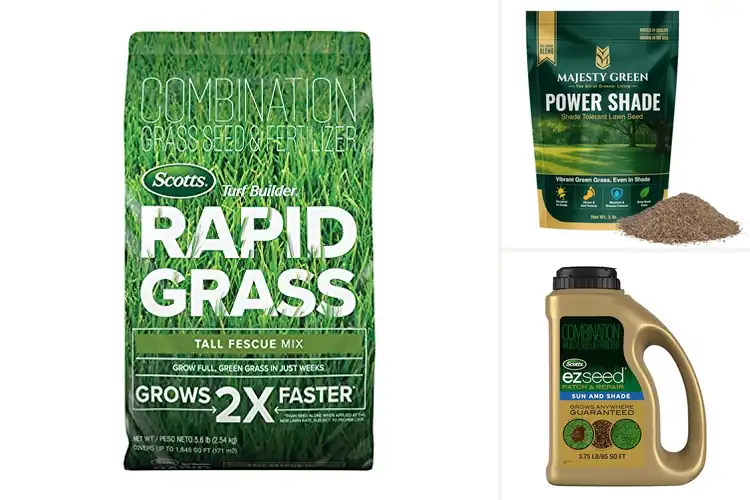 Detailed view of Best Lush Green Lawn Seeds: Top 10 Picks for a Vibrant Yard