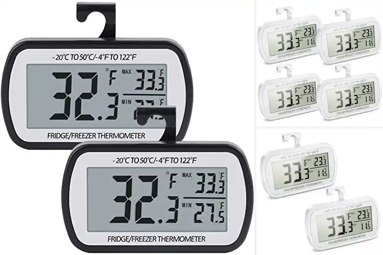 Detailed view of Best Magnetic Fridge Thermometers