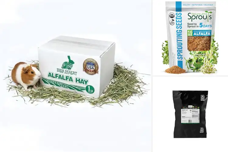 Detailed view of Best Nutrient‑Rich Alfalfa: Pure Daily Plant Power Boost