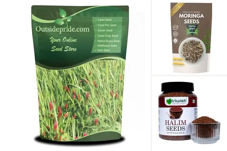 Detailed view of Best Nutrient-Rich Seeds: Top 10 Picks for Health & Garden