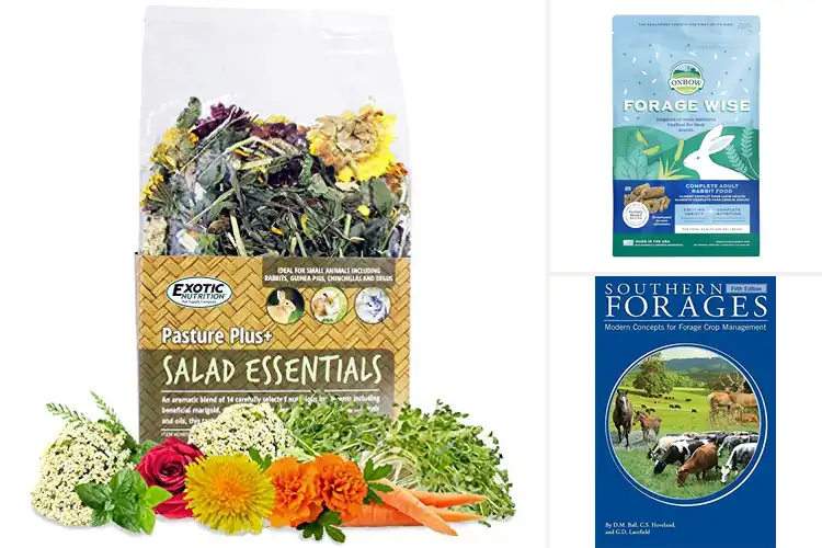 Detailed view of Best Nutritional Forage for Healthier, Happier Pets