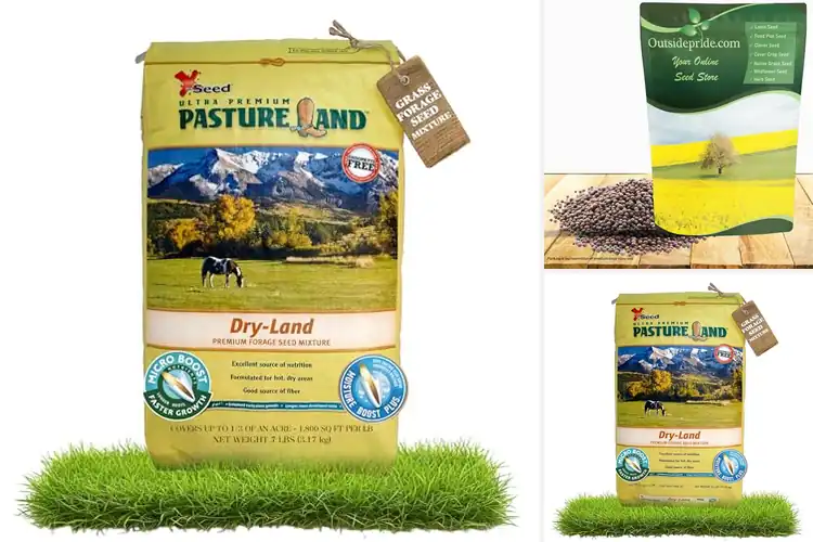 Detailed view of Best Nutritious For Livestock Forage