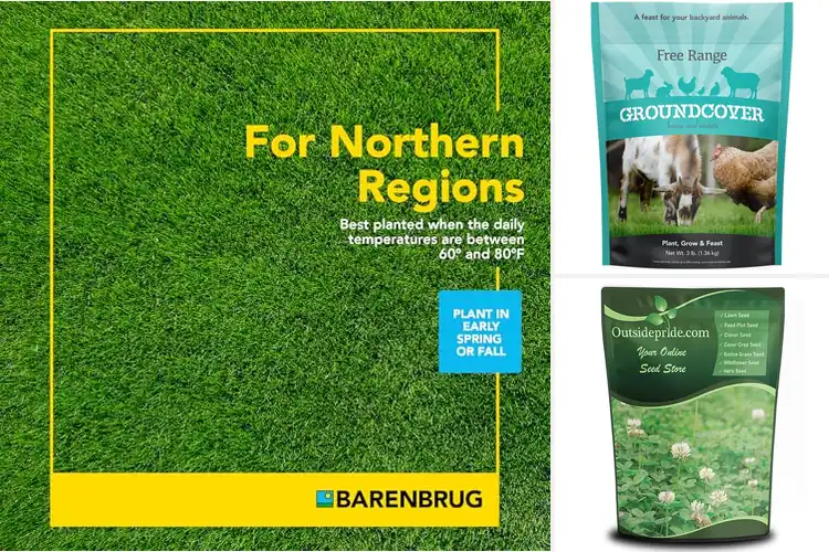 Detailed view of Best Pasture Seeds