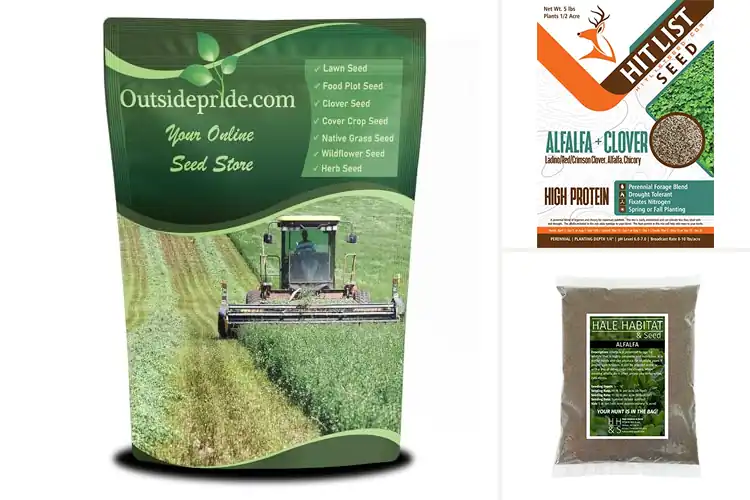 Detailed view of Best Perennial Alfalfa Forage Harvests