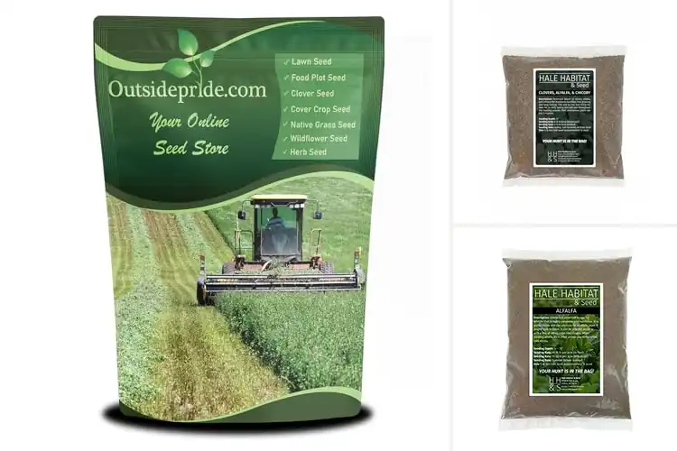 Detailed view of Best Perennial Alfalfa Seeds