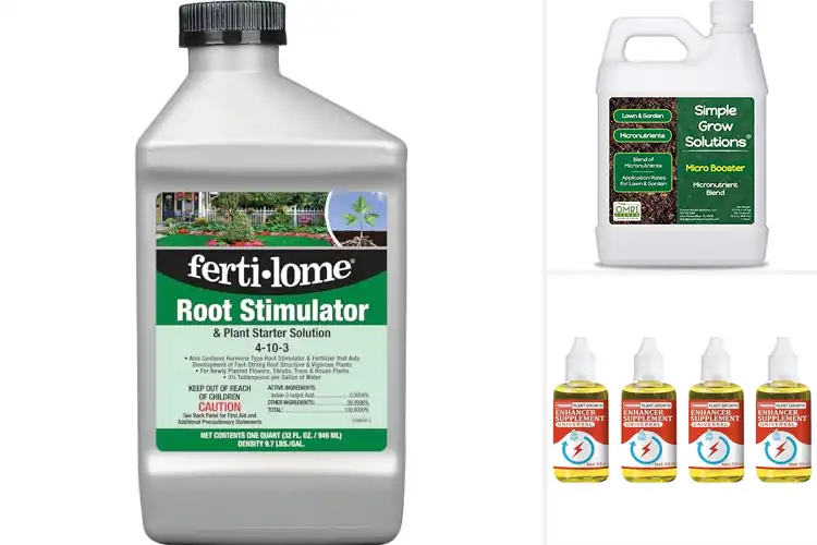 Detailed view of Best Plant Growth Solutions