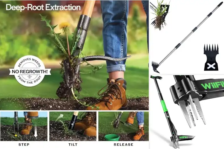 Detailed view of Best Weed Removers: Effortless Weeding for a Pristine Garden