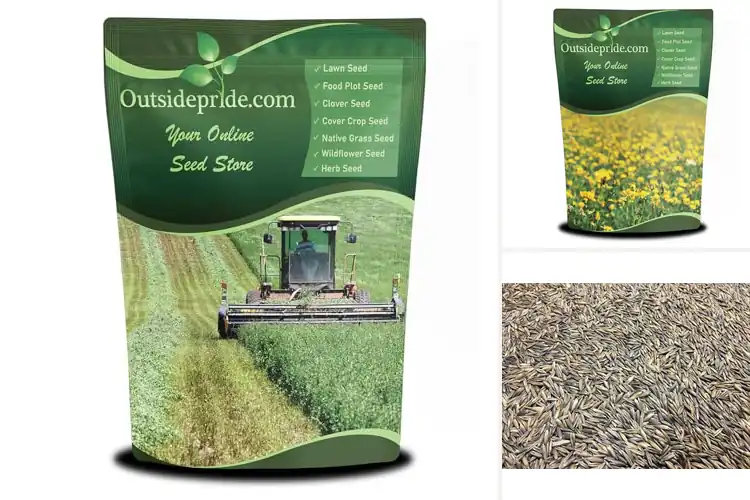 Detailed view of Best Winter Hardy Forage Seed