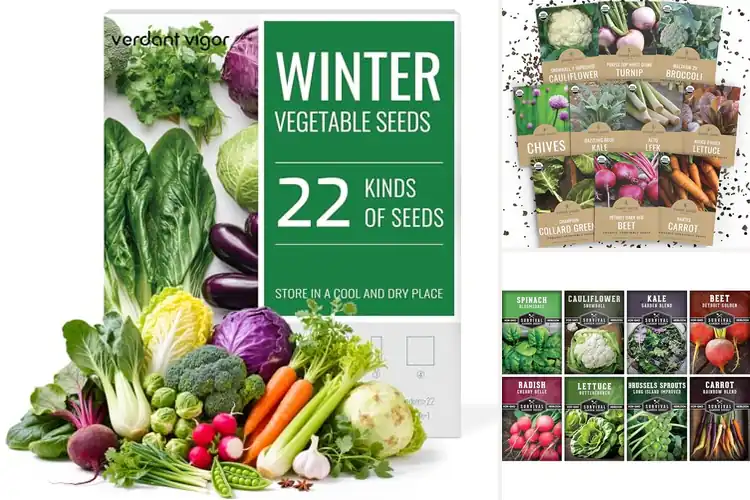 Detailed view of Best Winter Hardy Seeds